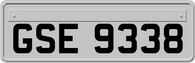 GSE9338
