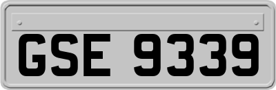 GSE9339