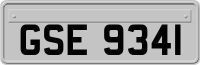 GSE9341