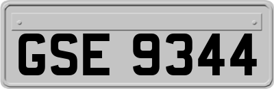 GSE9344