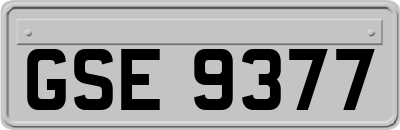 GSE9377