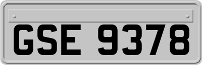 GSE9378