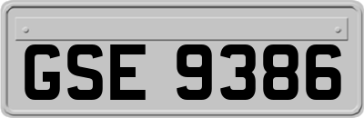 GSE9386