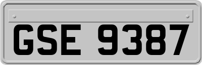 GSE9387