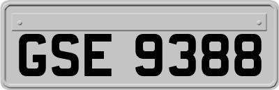 GSE9388
