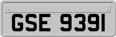 GSE9391