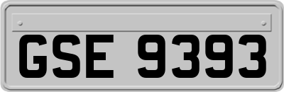 GSE9393