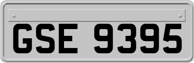 GSE9395