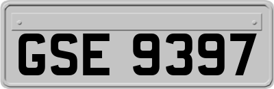 GSE9397