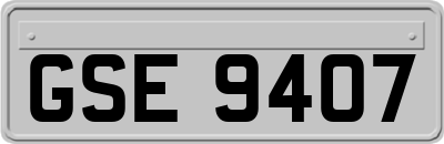 GSE9407