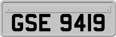 GSE9419