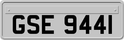 GSE9441