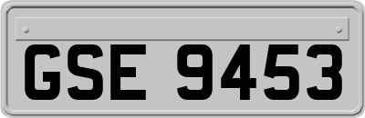 GSE9453