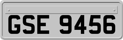 GSE9456