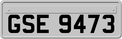 GSE9473