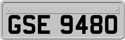 GSE9480