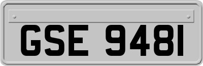 GSE9481
