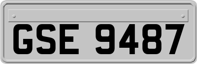GSE9487