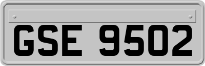 GSE9502
