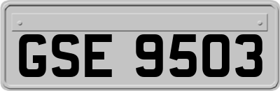 GSE9503