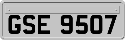 GSE9507