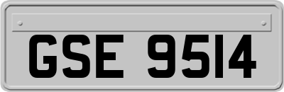 GSE9514