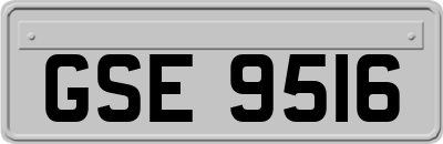 GSE9516