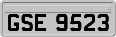 GSE9523