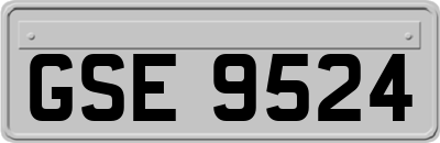 GSE9524