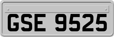 GSE9525