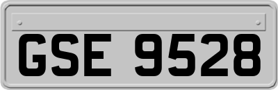 GSE9528