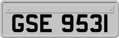 GSE9531