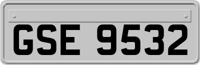 GSE9532