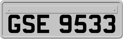 GSE9533