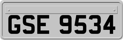 GSE9534