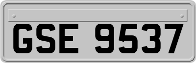 GSE9537