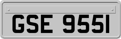 GSE9551
