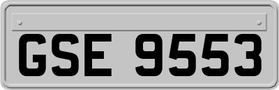 GSE9553
