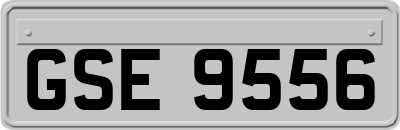 GSE9556