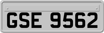 GSE9562