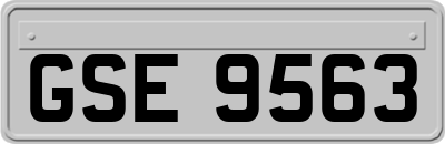 GSE9563
