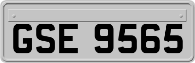 GSE9565