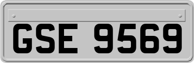GSE9569