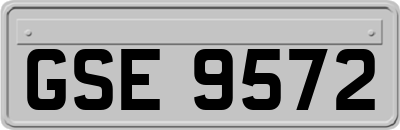 GSE9572