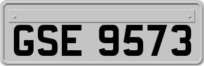 GSE9573