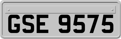 GSE9575