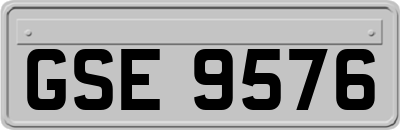 GSE9576