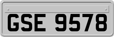 GSE9578