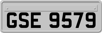 GSE9579