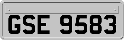 GSE9583